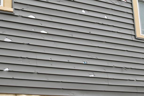 Best Same-Day Junk Removal Services  in Dickson, TN